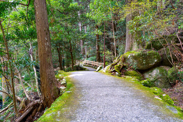 和歌山県　那智の滝の風景(2024年12月)