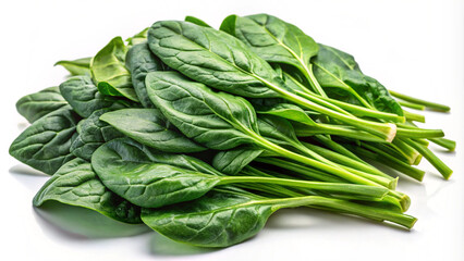 Fresh spinach on white background