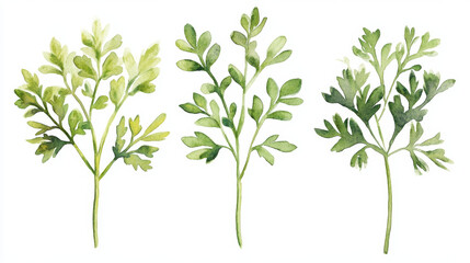 Fototapeta premium Delicate watercolor illustration of green leaves, showcasing various shades and textures