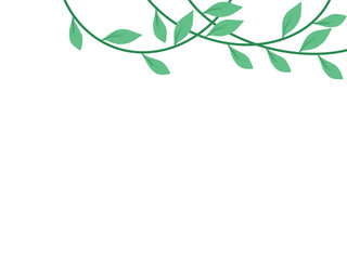 Leaf Vines Plant Jungle Background