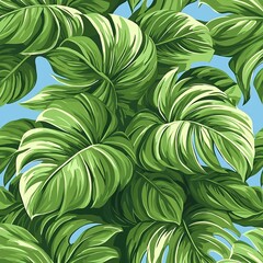 Lush Green Tropical Monstera Leaves Against Blue Sky