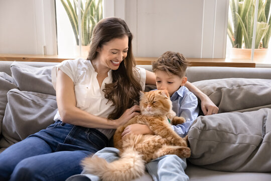 Happy young mother cuddling little son boy and furry orange cat with love, affection, stroking cute pet, smiling, laughing, enjoying homey family leisure, resting on soft comfortable couch
