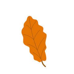 Hand drawn autumn leaves illustration 