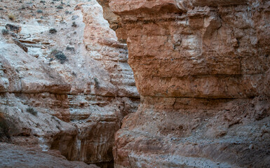 Le canyon de Tamerza