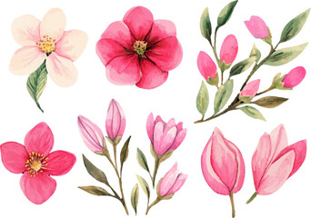 pink and white flowers