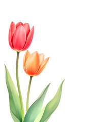 "Vibrant Tulip Bouquet: A Celebration of Spring's Beauty"