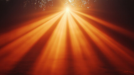 Golden sun rays shining through dark foliage, atmospheric backdrop