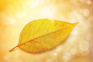 A single autumn leaf in vivid yellow with hints of orange, isolated against a neutral bokeh background.