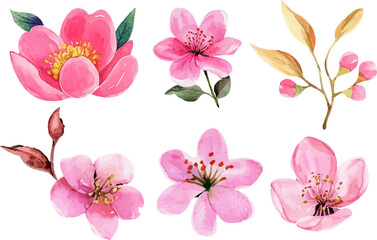 set of pink and white flowers