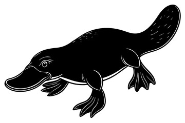 Platypus duck-billed animal vector illustration