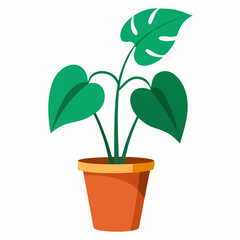 Obraz premium plant in pot