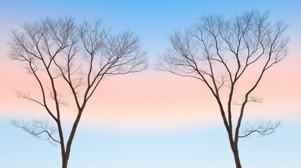 Obraz premium Bare Trees Silhouetted Against a Colorful Gradient Sky at Dusk