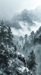 Majestic Winter Mountain Landscape Snow Covered Peaks Foggy Valley Coniferous Trees
