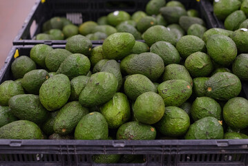 Group of hass avocados in a supermarket. Selective focus.