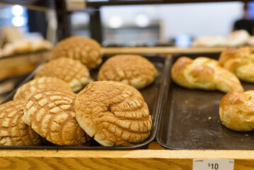 Traditional Mexican sweet breads. Conchas.