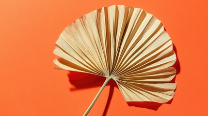 Tropical Fan Palm Leaf Close Up on Coral Fashion Background Minimalist Summer Aesthetic Design Element for Creative Projects