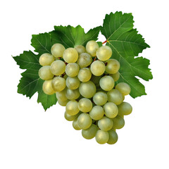 Obraz premium bunch green grapes with fresh green leaves isolated on white transparent background