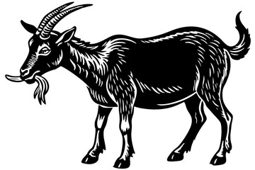 Male billy mountain goat vector art illustration