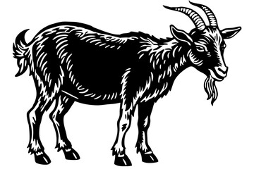 Male billy mountain goat vector art illustration