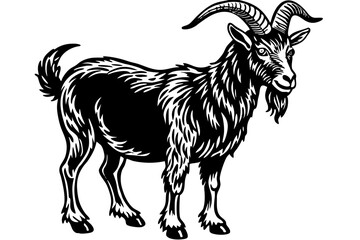 Male billy mountain goat vector art illustration