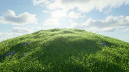 Fototapeten Lush grassy hill under a bright sky with fluffy clouds creating a serene natural landscape background for outdoor settings. © AImmersive Imagery