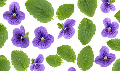 Purple pansies and green leaves pattern.