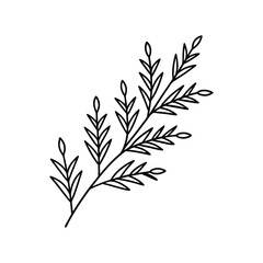 Fototapeta premium Christmas holy leaves illustration vector, Merry Christmas ClipArt Design, holy leaves Lineart Art 