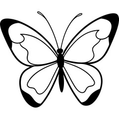 butterfly isolated on white