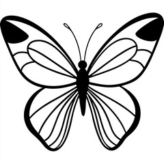 butterfly isolated on white