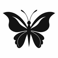 black and white butterfly