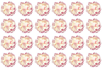 Seamless pattern of isolated white peony flowers. Cute 
floral background. Invitation card mockup