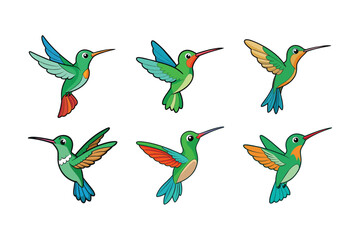 Naklejka premium hummingbird vector art illustration