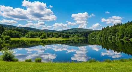 Fototapeta premium Nature background with green grass with tree leaves over sunny blue sky spring