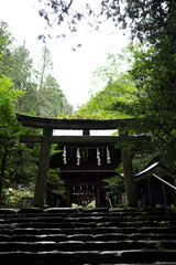 鳥居