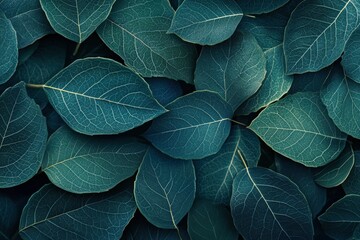 Lush dark green leaves close-up nature scene plant detail serene environment top-down view botanical concept