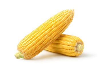 Fresh corn isolated on white background. Clipping path.