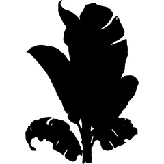 Vector illustration of palm tree silhouette