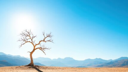 An ancient, gnarled tree standing solitarily in the middle of a vast, arid desert, its branches reaching towards the clear blue sky.