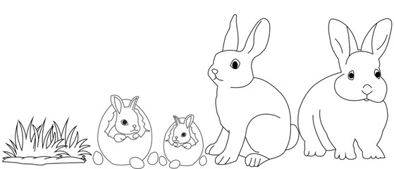 easter bunny with eggs