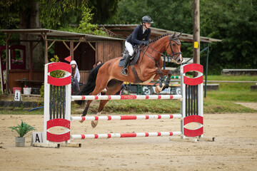 Horse jumping horse with rider in tournament.
