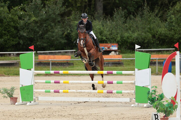 Horse jumping horse with rider in tournament.