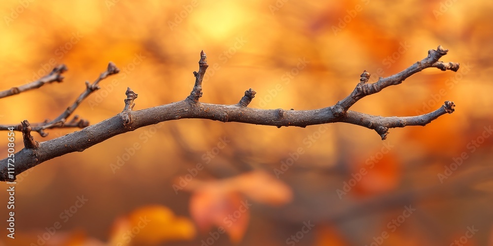 Poster dry branch and stick set against an autumn background create a picturesque scene. the dry branch and