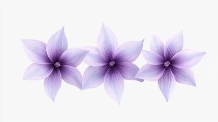 Fototapeta premium Three delicate purple flowers arranged in a harmonious composition.