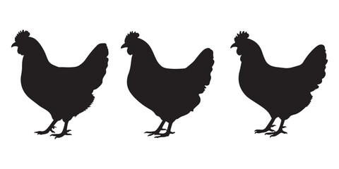 Chicken silhouette vector art on white background 