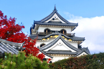 Fototapeta premium 国宝・彦根城・紅葉（滋賀県・彦根市）