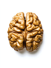 detailed view of whole shelled walnuts resembling brain shape, showcasing their unique texture and intricate patterns. These nuts are often used in cooking and baking