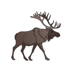 a moose vector art and illustratior