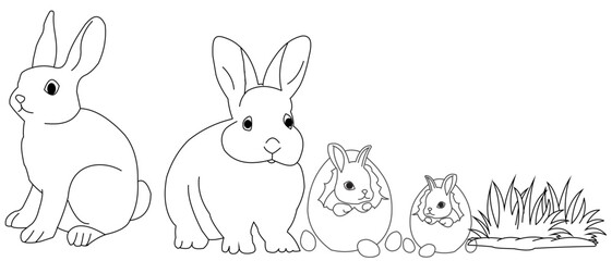 easter bunny with easter eggs