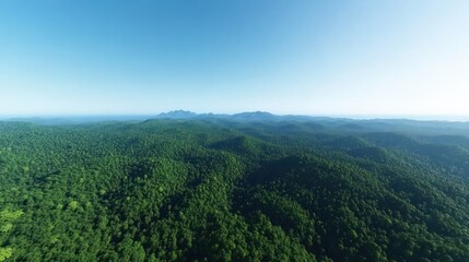 Obraz premium Aerial view of a lush green forested landscape under a clear sky.