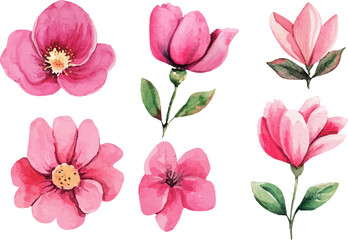 Fototapeta premium set of pink flowers isolated on white